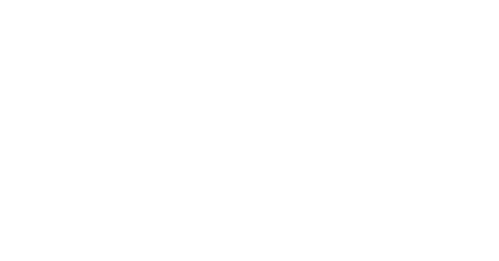 Palmetto Media Company Seneca SC